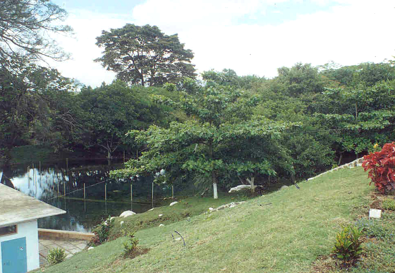 Nsere Springs